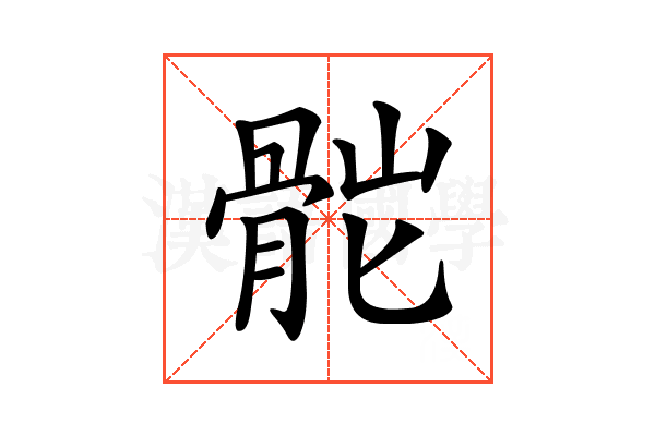 𩨷