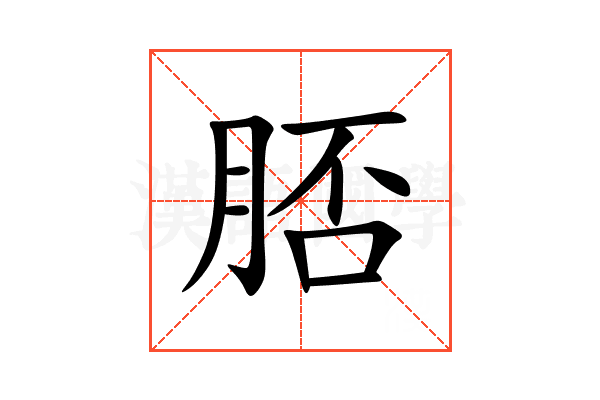 脴