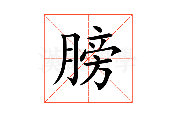 膀