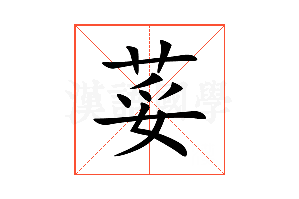 荽