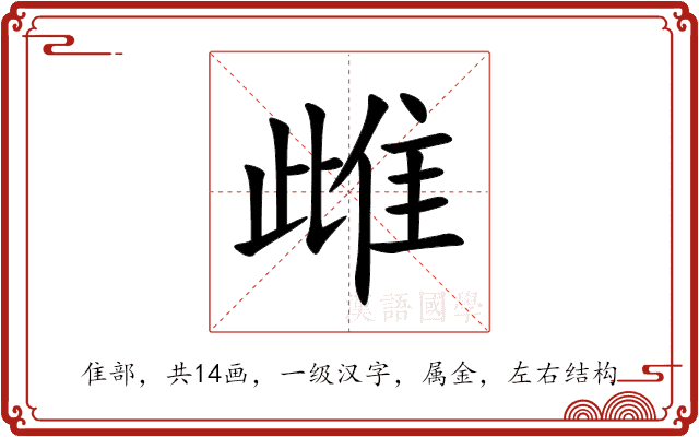 雌