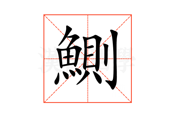 鰂