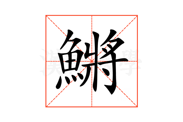 鱂