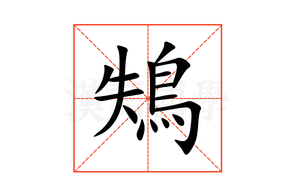 鴩