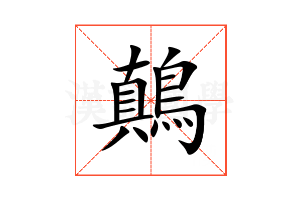 鷏
